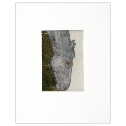 Float Mounted Print