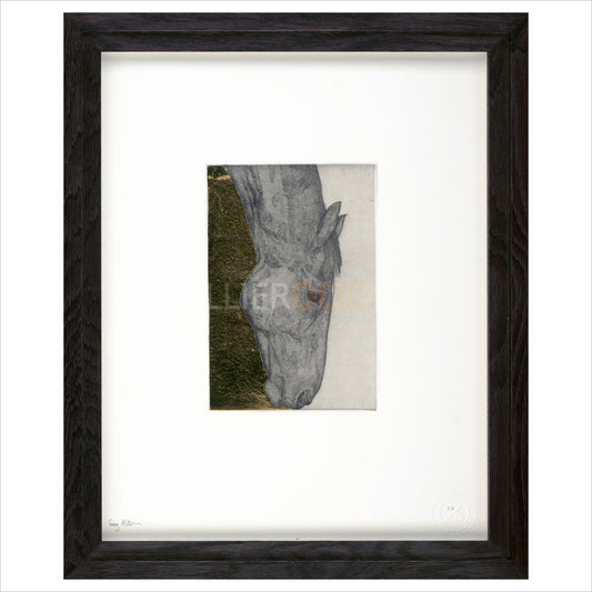 Framed Print (ARTglass)