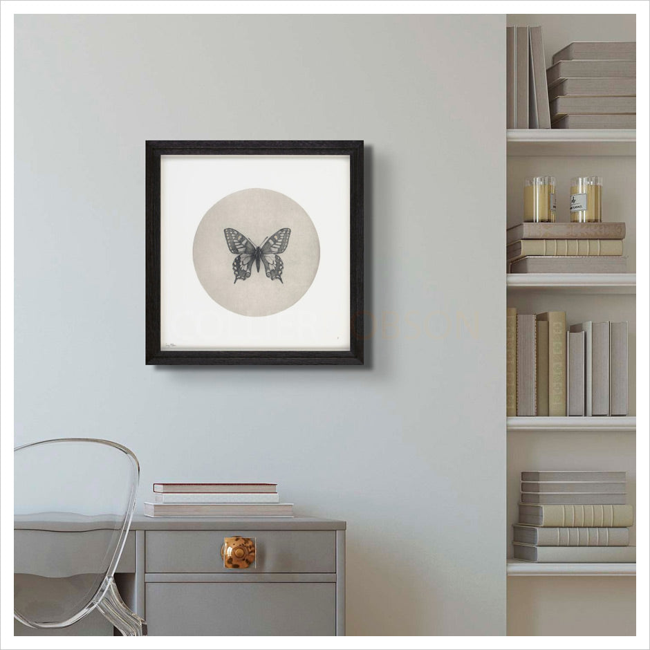 Swallowtail Butterfly by Guy Allen