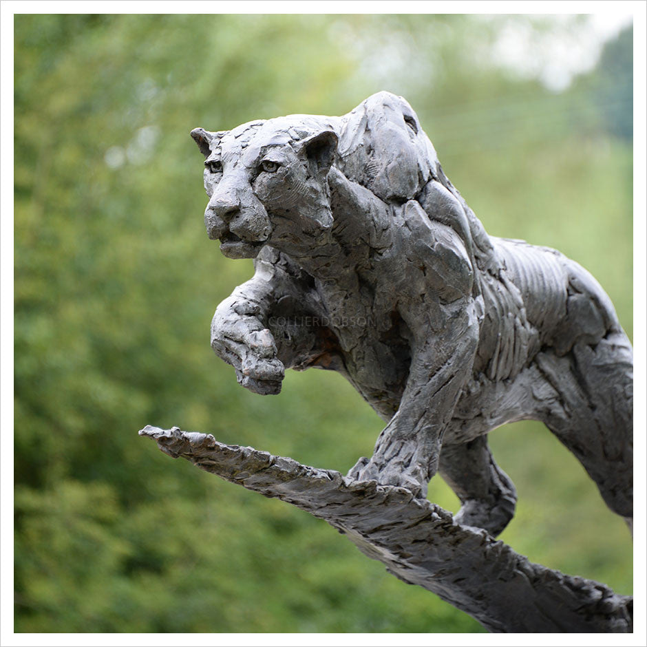 Leopard - Life Size Stalking by Hamish Mackie