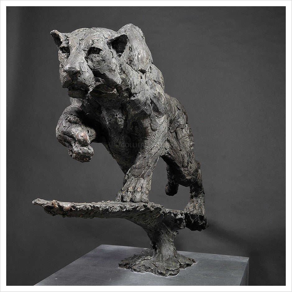 Leopard - Life Size Stalking by Hamish Mackie