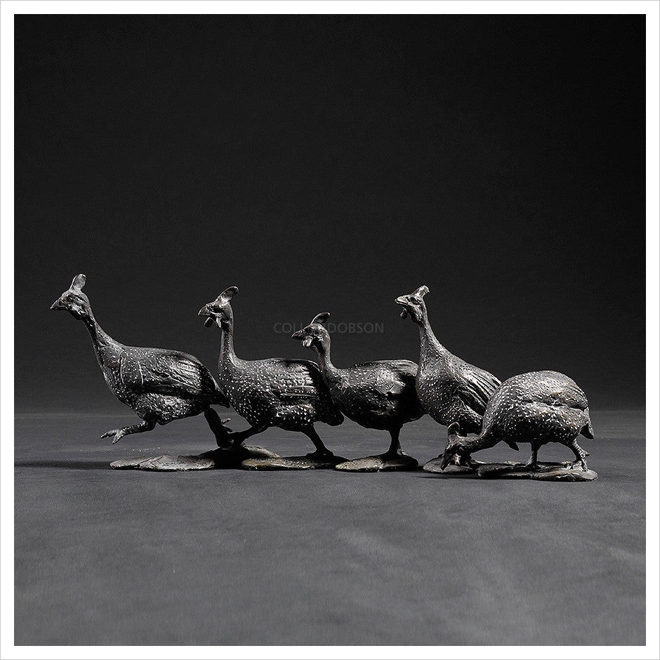 Guinea Fowl Group by Hamish Mackie