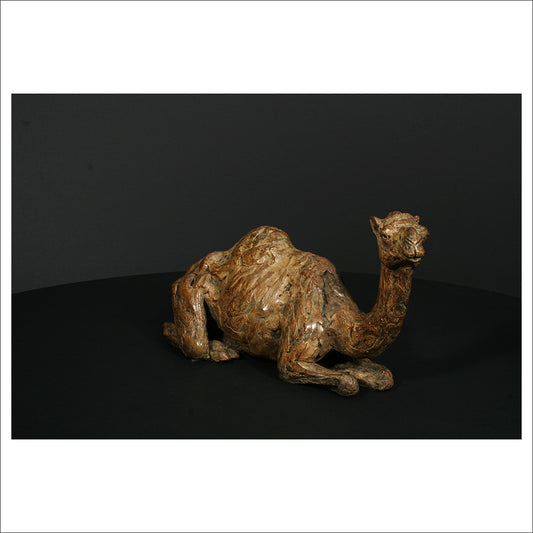 Camel Sitting
