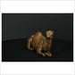 Camel Sitting