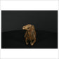 Camel Sitting