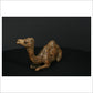 Camel Sitting