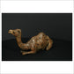 Camel Sitting