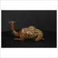Camel Sitting