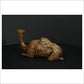 Camel Sitting