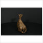 Camel Sitting
