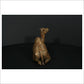 Camel Sitting