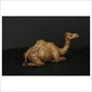 Camel Sitting