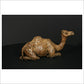 Camel Sitting