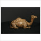 Camel Sitting