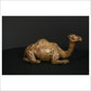 Camel Sitting