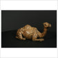 Camel Sitting