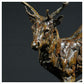 Red Deer Stag by Hamish Mackie