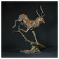 Red Deer Stag by Hamish Mackie