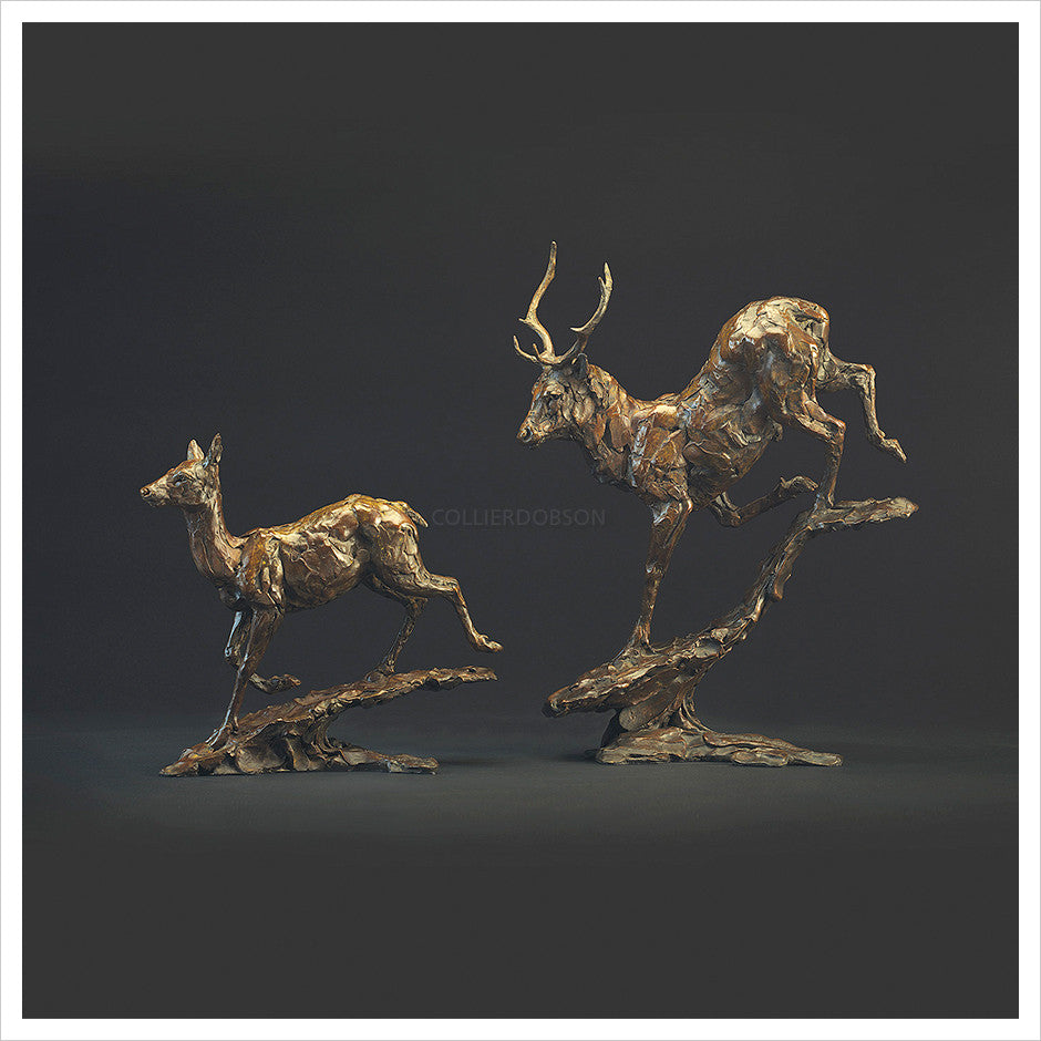 Red Deer Stag with Red Deer Hind by Hamish Mackie