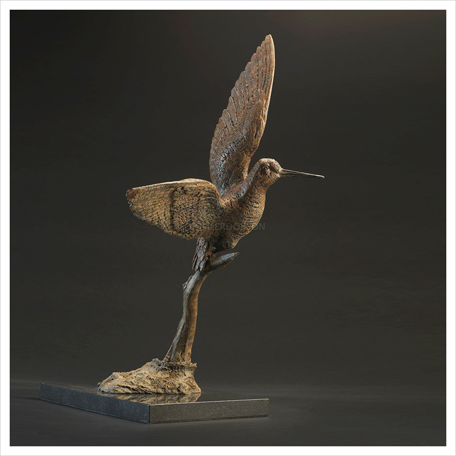 Woodcock Rising by Hamish Mackie