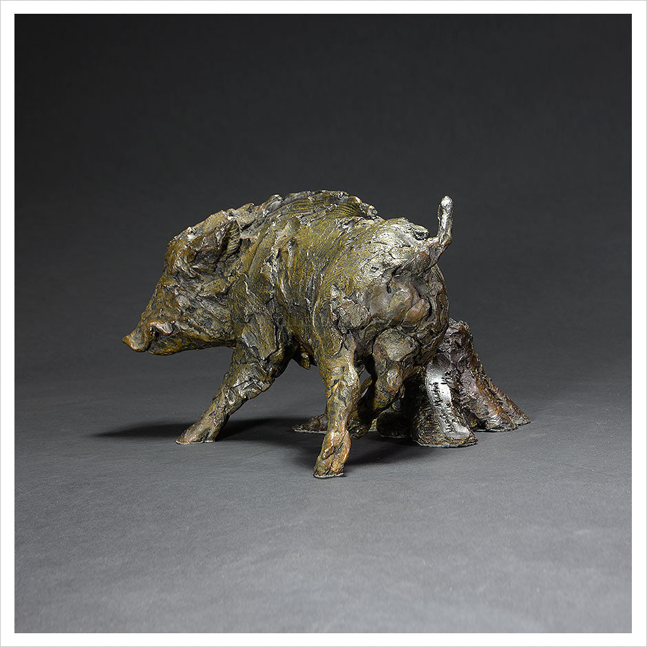 Wild Boar Itch by Hamish Mackie