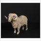 Merino Ram