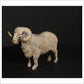 Merino Ram
