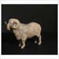 Merino Ram
