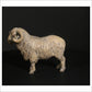 Merino Ram