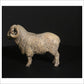 Merino Ram