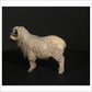 Merino Ram