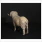 Merino Ram