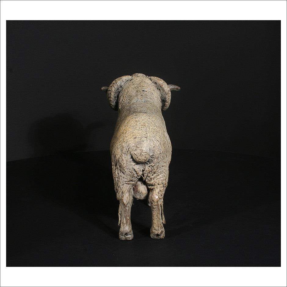 Merino Ram