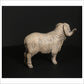 Merino Ram