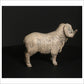Merino Ram