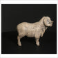 Merino Ram