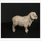 Merino Ram