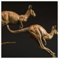 Kangaroo by Hamish Mackie