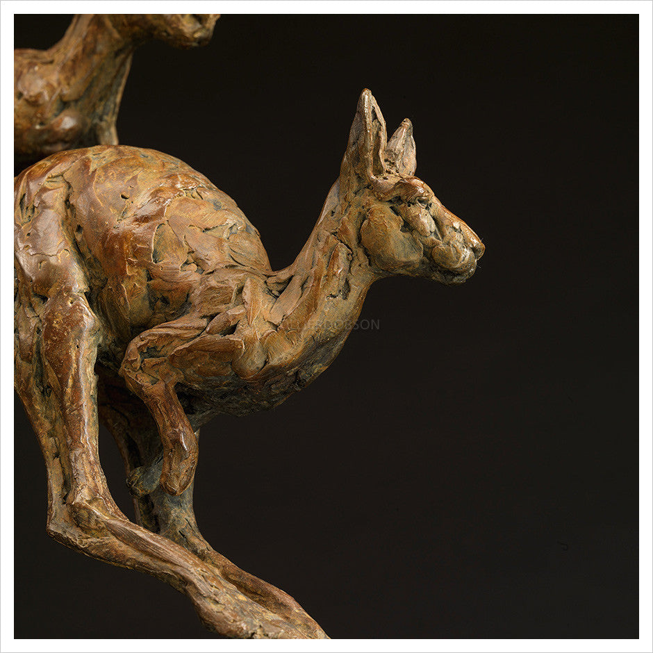 Kangaroo by Hamish Mackie