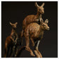 Kangaroo by Hamish Mackie