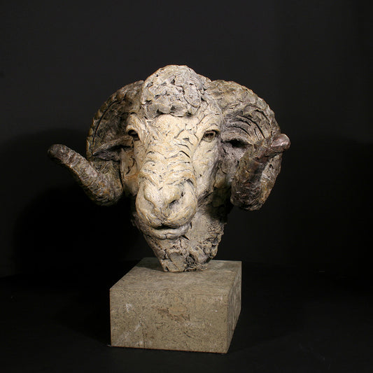 Merino Ram Head