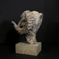 Merino Ram Head