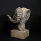 Merino Ram Head