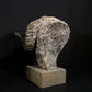 Merino Ram Head