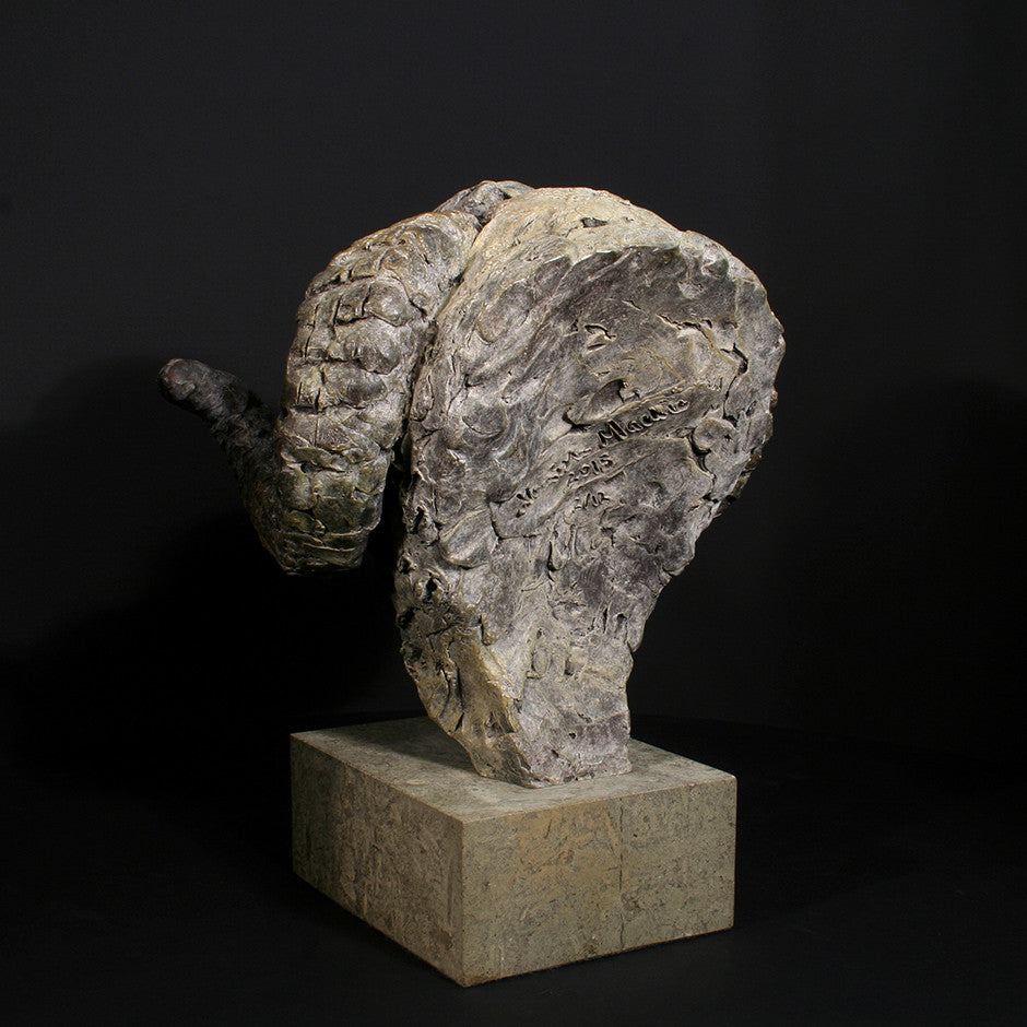 Merino Ram Head