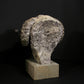Merino Ram Head