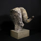 Merino Ram Head