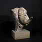 Merino Ram Head