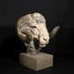 Merino Ram Head