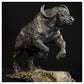 Cape Buffalo Charging by Hamish Mackie